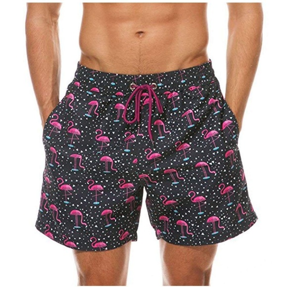 Other - Men's Swim Trunks Quick Dry Beach Shorts